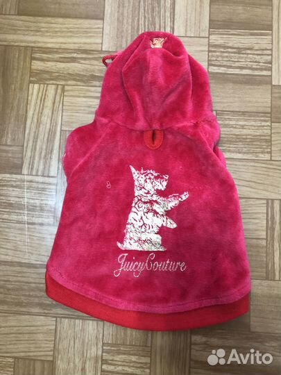 Одежда для собак