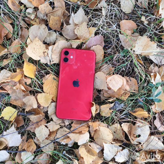 iPhone 11 red