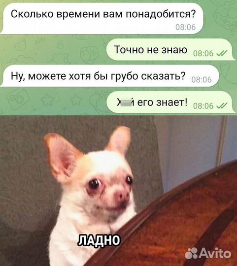 Дрова березовые колотые