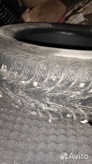 Yokohama 104ZR 175/70 R13