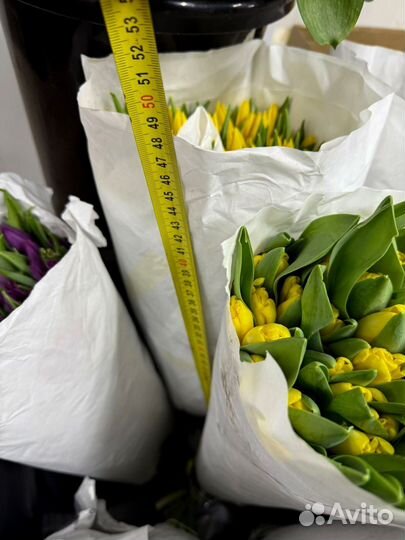 Тюльпаны крупные желтые голландские оптом в Москве