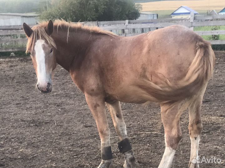 Советский тяжеловоз