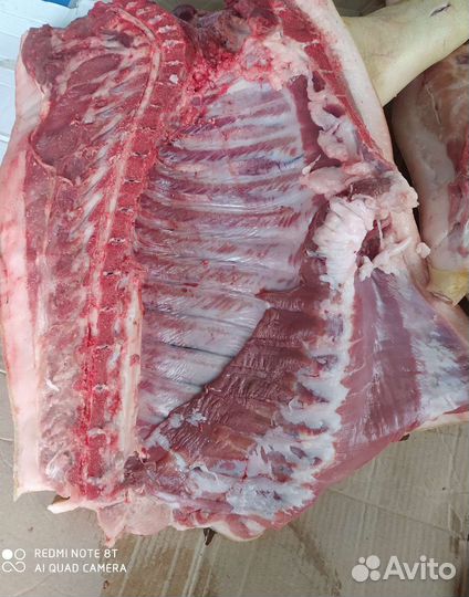 Продам мясо свинина