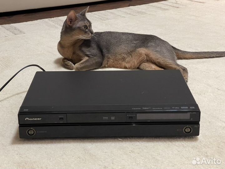 Dvd/hdd-плеер pioneer dvr-lx60