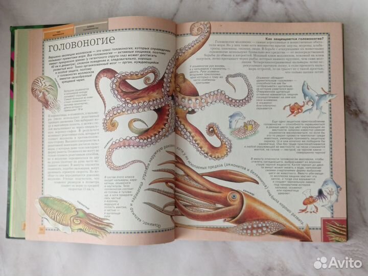 Большая энциклопедия животного мира