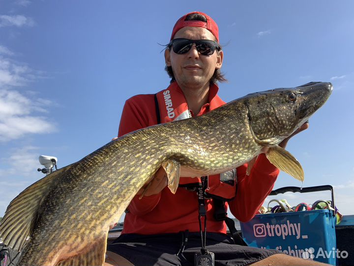 Рыбалка с гидом в Ленинградской обл