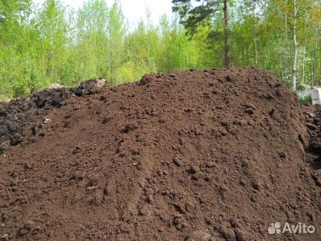 Грунт