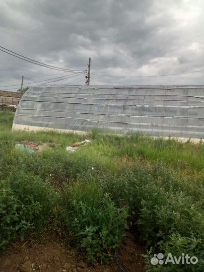 Аренда теплиц и животноводческой фермы