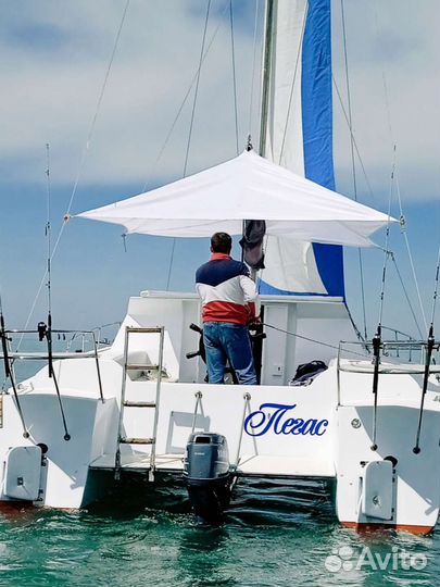 Морские прогулки