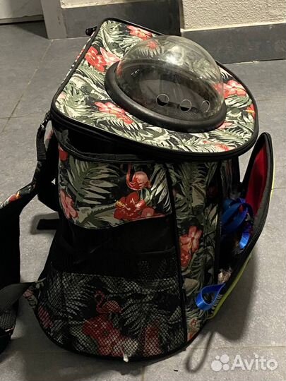 Переноска с иллюминатором