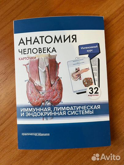 Карточки по анатомии Сапин