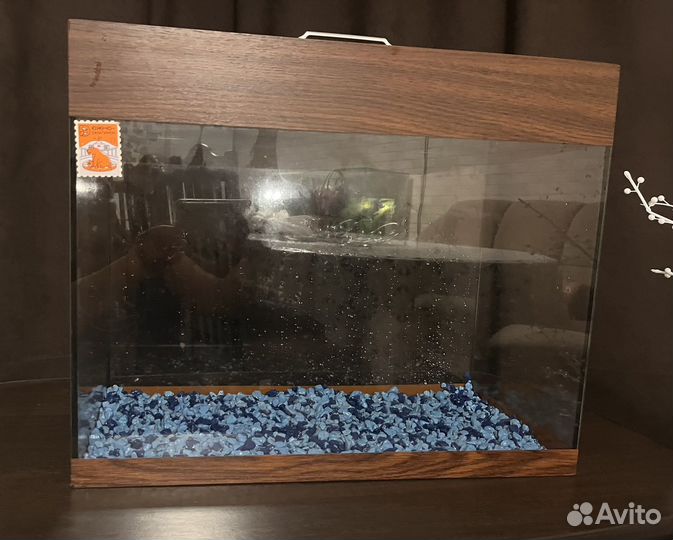 Аквариум