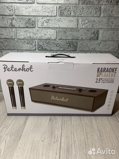 Портативная беспроводная караоке система