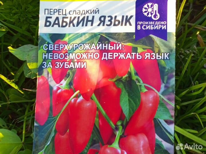 Рассада помидор огурцов перцев