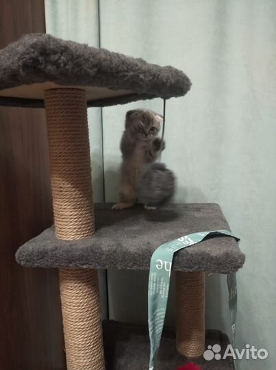 Домик для кошки с когтеточкой