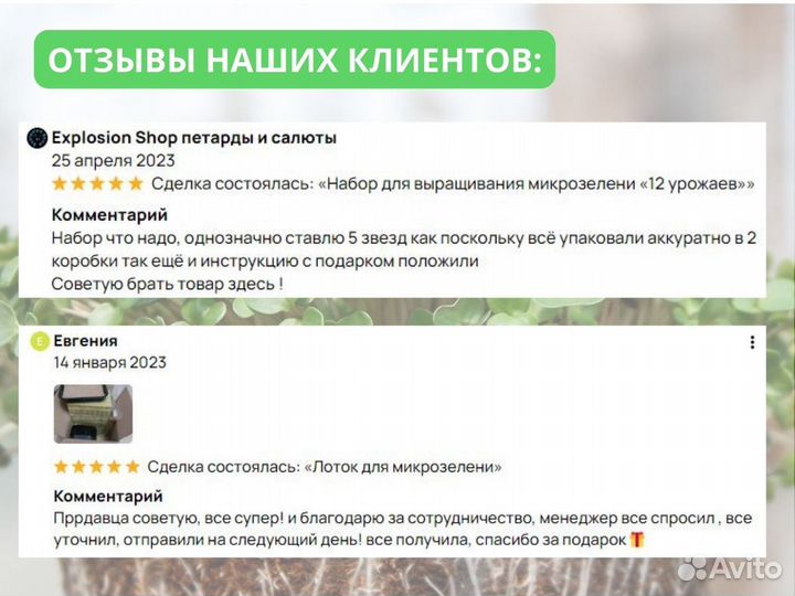 Микрозелень