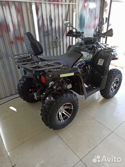 Sharmax hammer 300 LUX