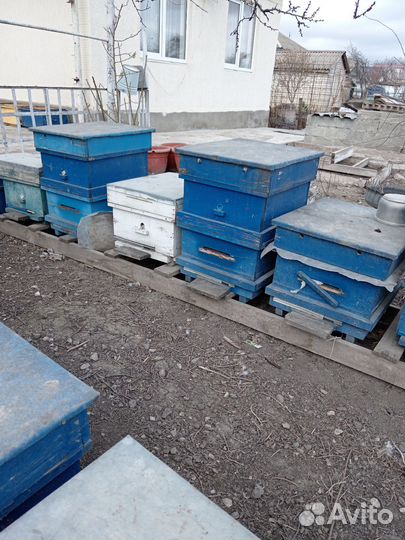 Ульи для пчел бу