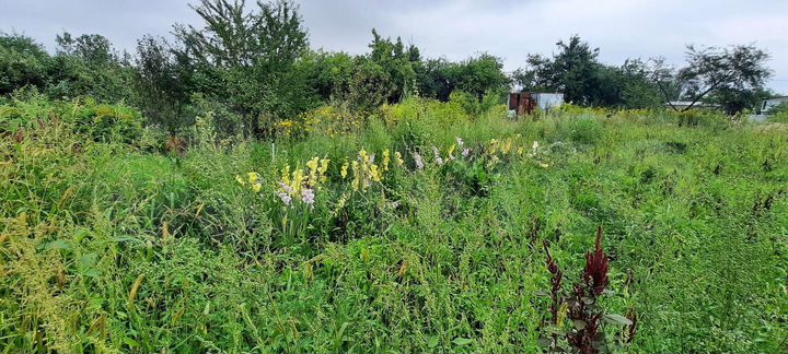 Участок 8 сот. (ИЖС)