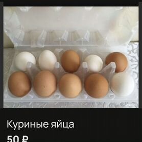 Яйца