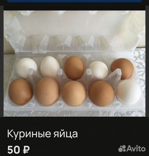 Яйца