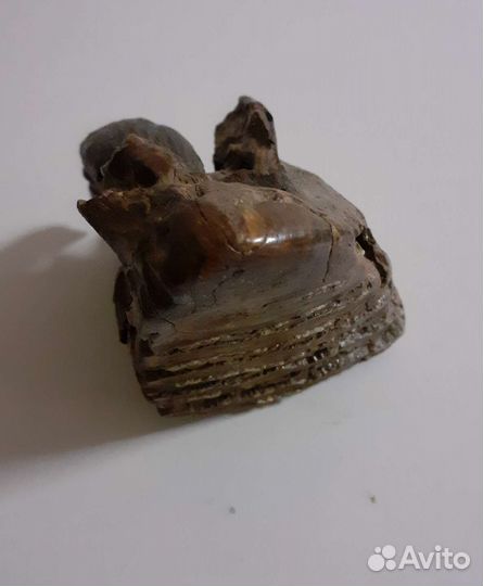 Зуб мамонта