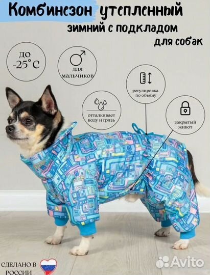 Зимний комбинезон для чихуахуа