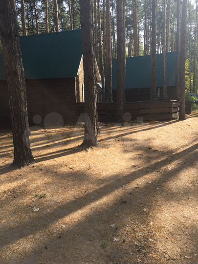 Участок 91,8 сот. (СНТ, ДНП)