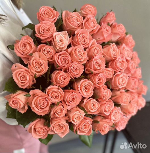 Розы цветы доставка