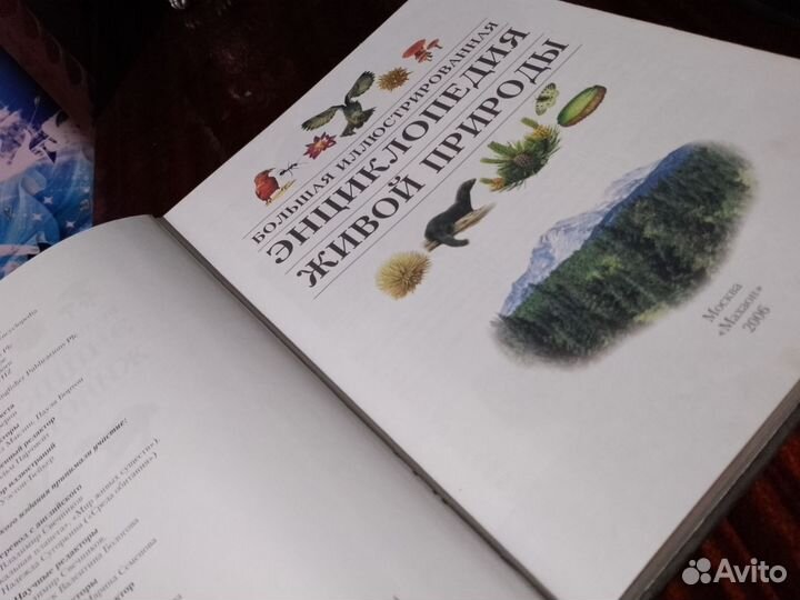 Энциклопедия про животных