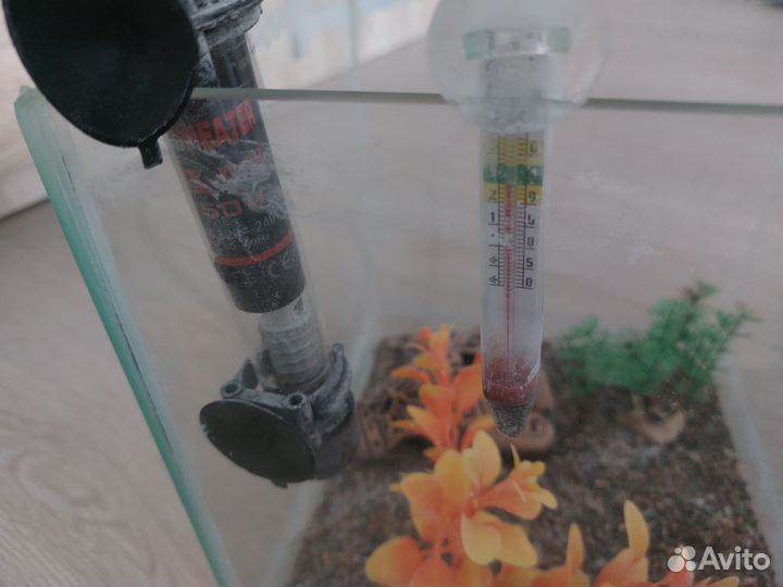 Аквариум с декором, нагревателем и градусником