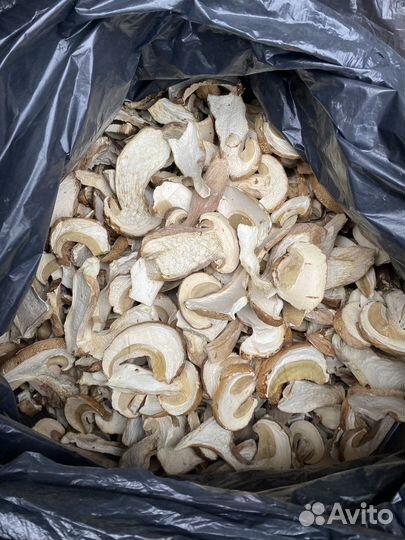 Грибы белые сушеные