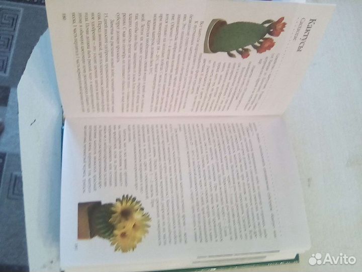 Книги: Комнатные растения и кулинария