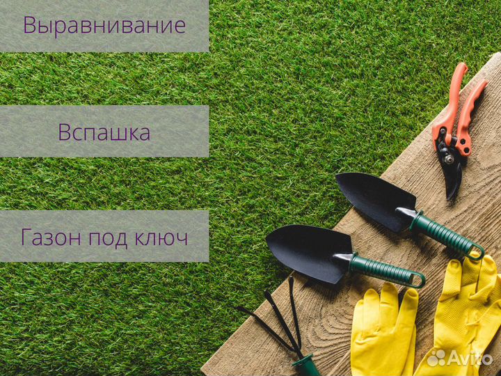 Газон под ключ