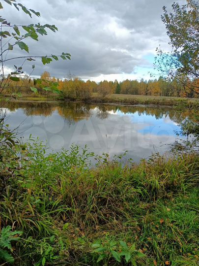 Участок 92 сот. (СНТ, ДНП)