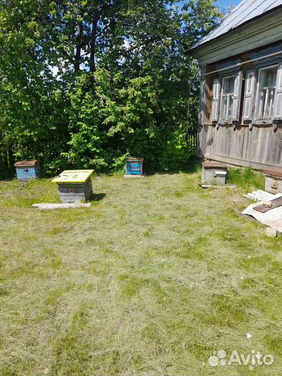 Ульи с пчелами