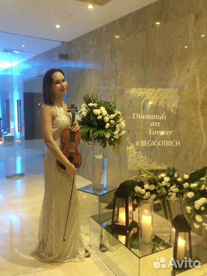 Музыканты на мероприятие