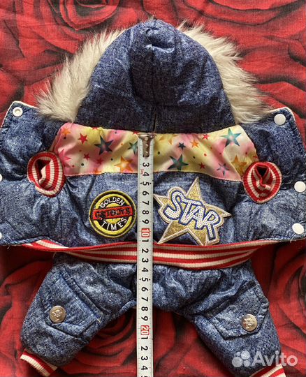 Одежда для маленьких собак s