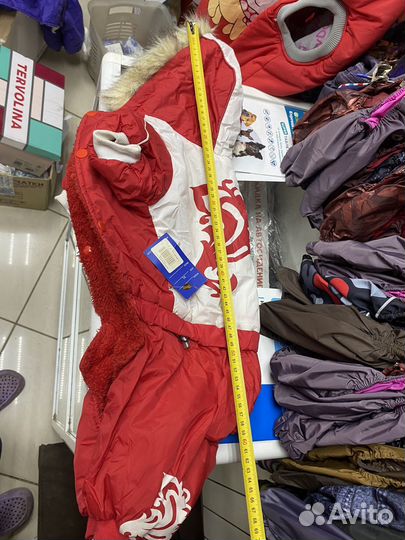 Одежда для собак