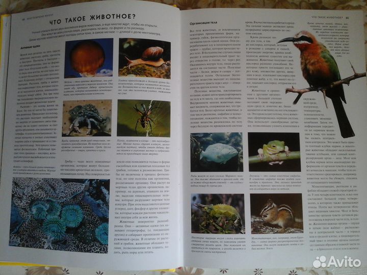 Животные. Визуальная энциклопедия