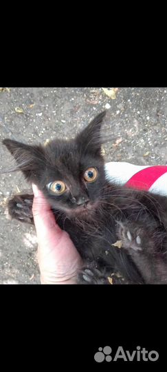 Малыши- домовёнок Кузя- друг и оберег в ваш дом