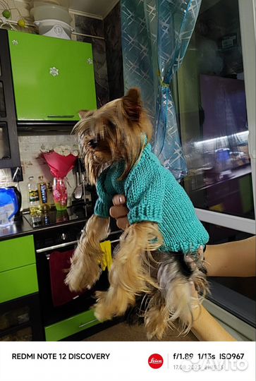 Одежда(свитер) для собак