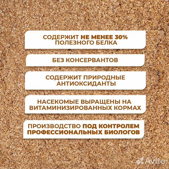 Добавка для цыплят с Черной львинкой, 600 гр