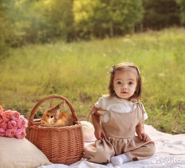 Детский, семейный фотограф