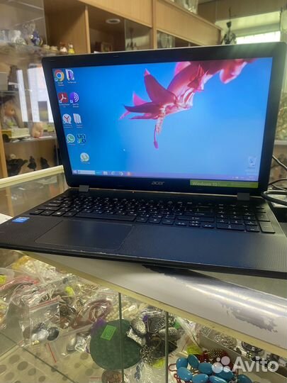 Acer extensa ex2519