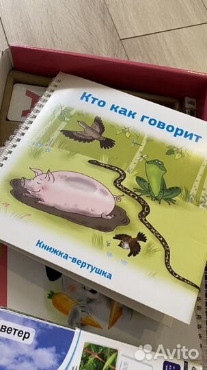 Чтение с пеленок + мир на ладошке