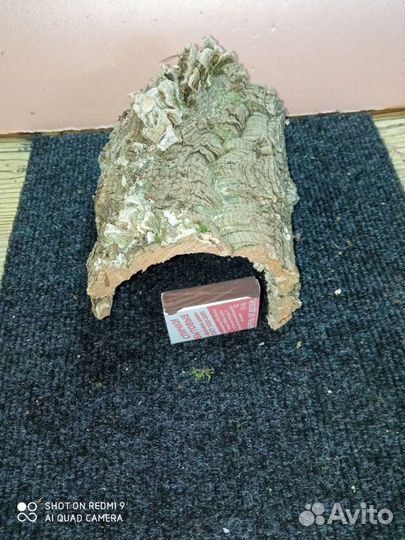 Кора пробкового дуба