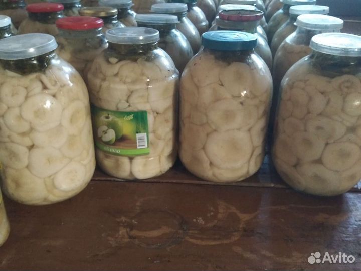 Грибы грузди соленые