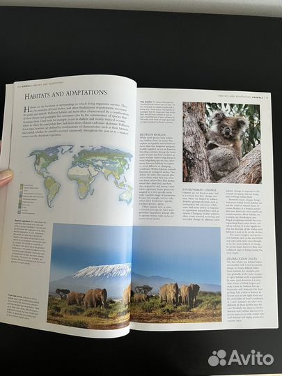 Книга о животных на английском Animal Encyclopedia