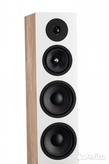 Напольная акустика Davis Acoustics krypton 9 Nordi